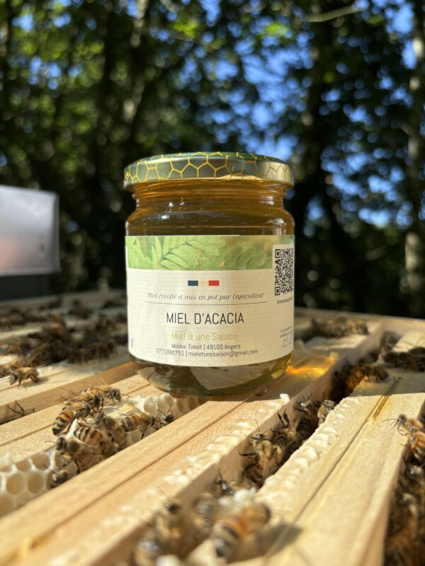 Miel acacia-min Miel d'Acacia